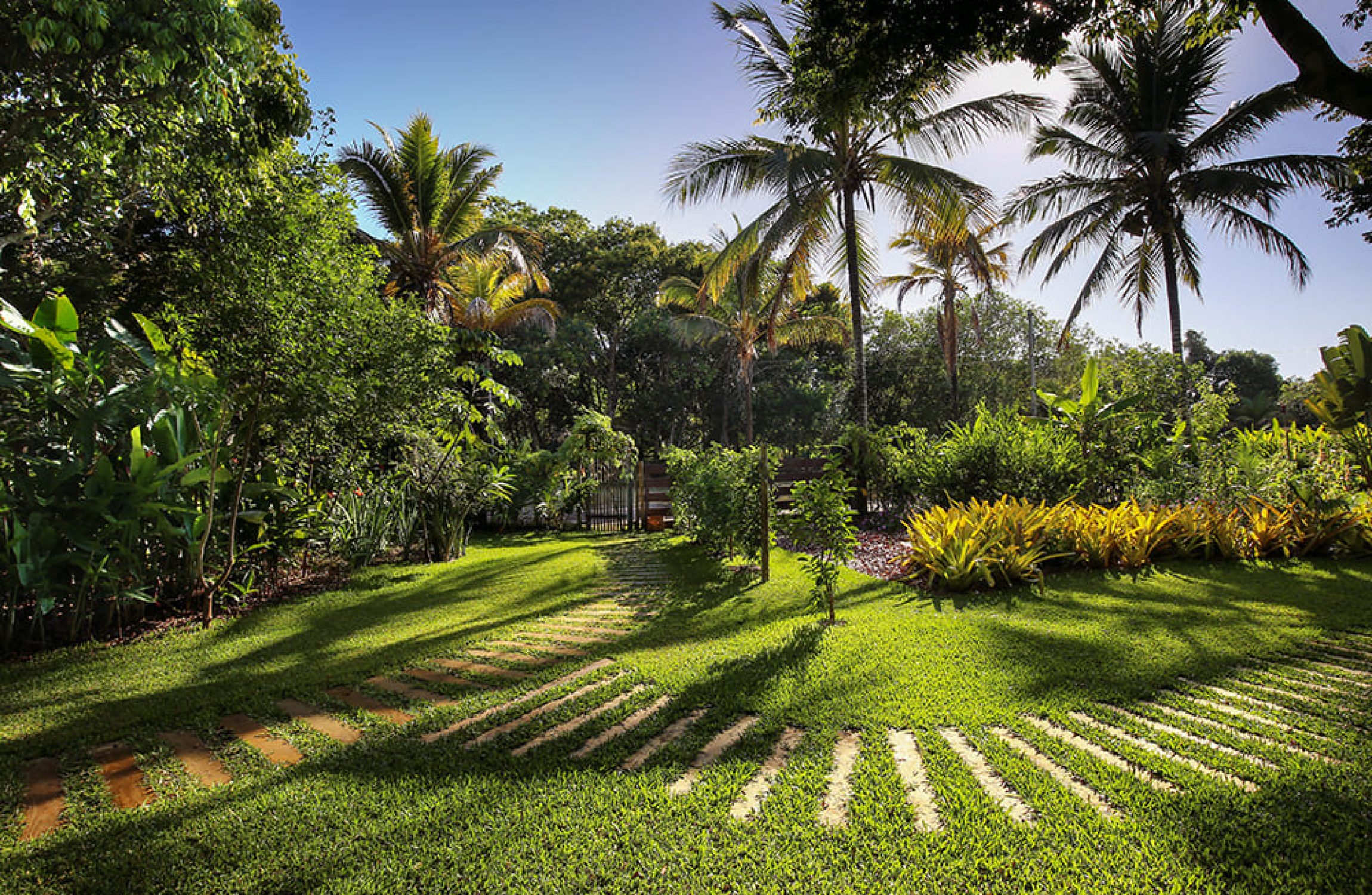 JARDIM-amanhecer.jpg